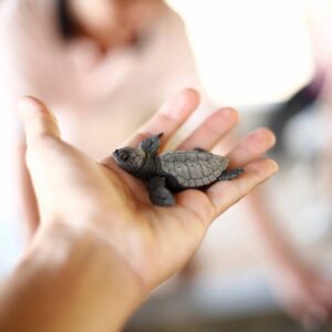 BSA Troop 76 Engraved Donor Recognition Plaque